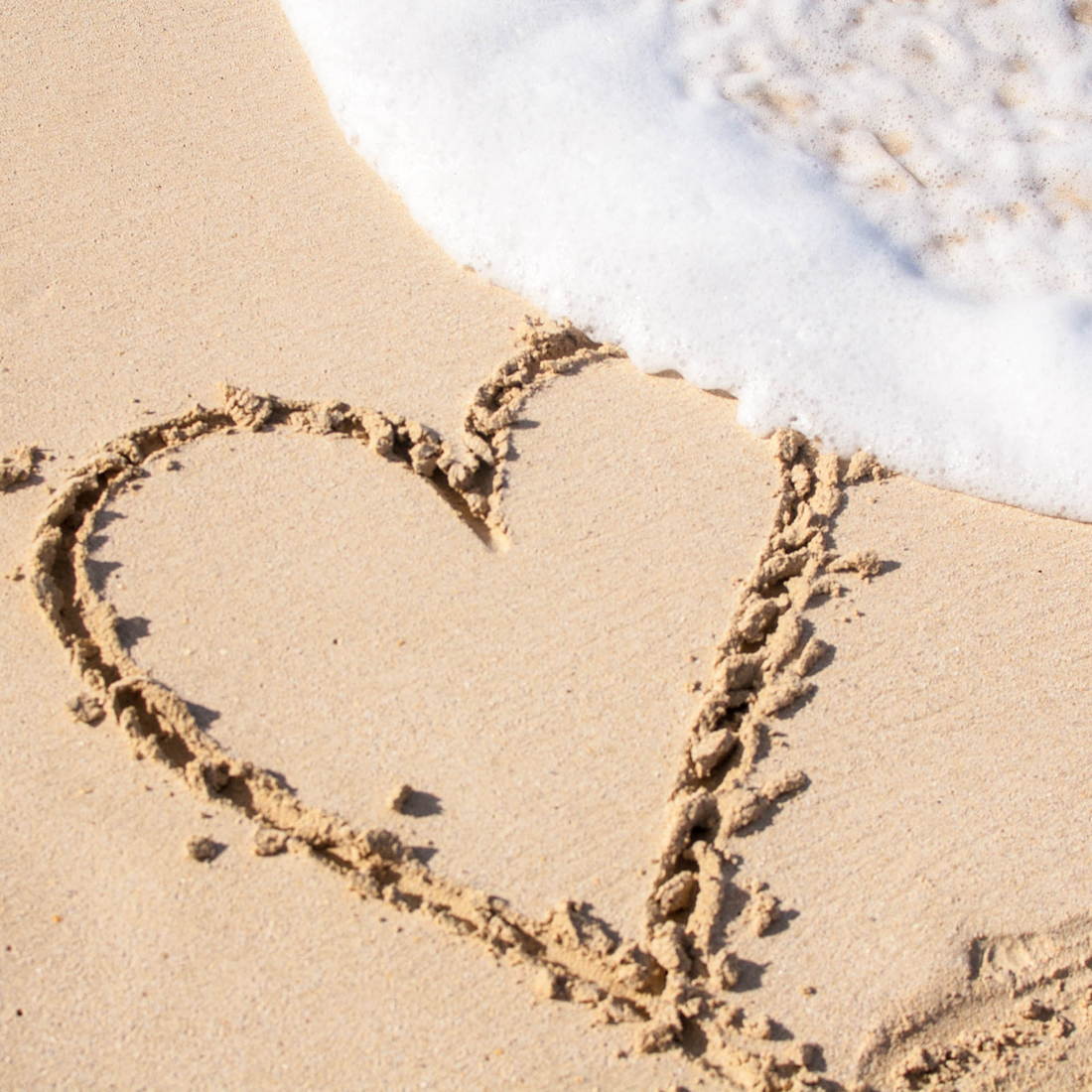 Going steady: the dating shows where love really grows